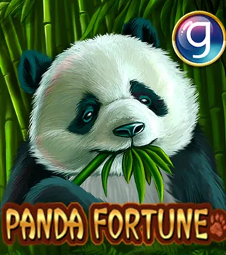 Panda Fortune