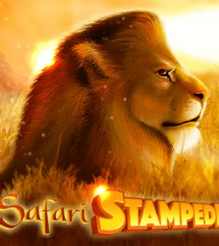 Safari Stampede